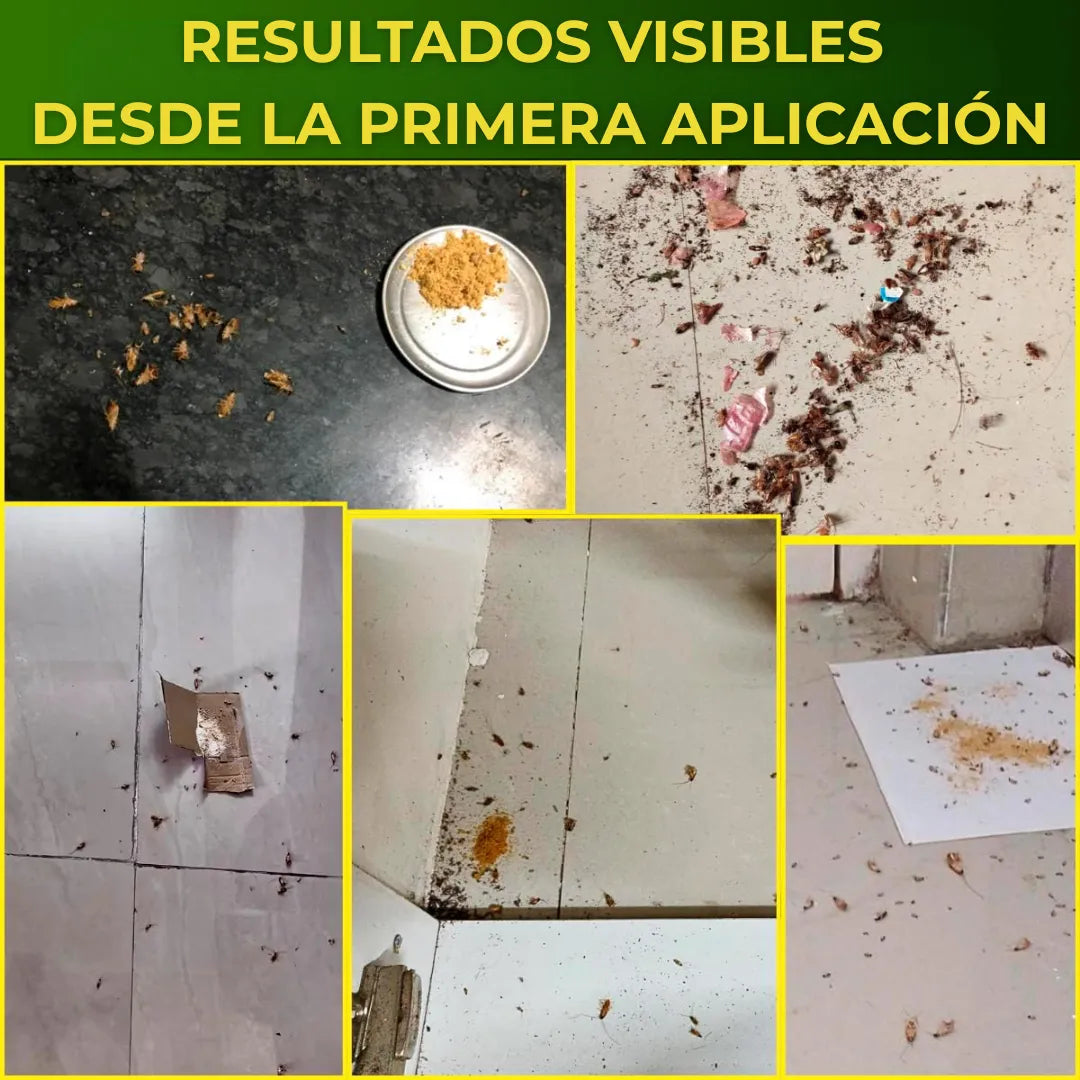 Cebo en Polvo Mata Cucarachas